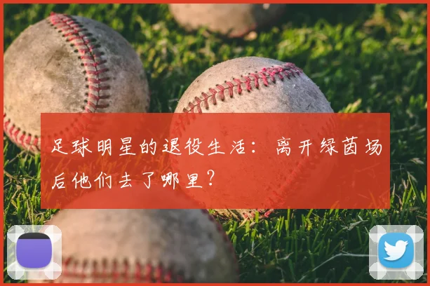 足球明星的退役生活:离开绿茵场后他们去了哪里?