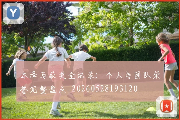 本泽马获奖全记录：个人与团队荣誉完整盘点_20260528193120
