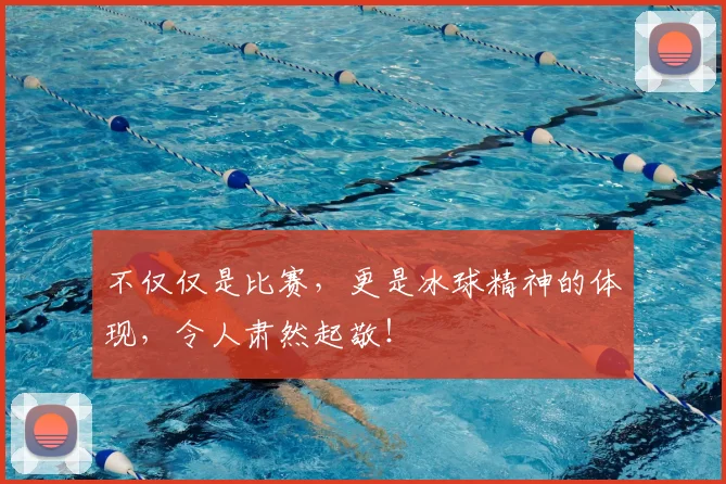 不仅仅是比赛,更是冰球精神的体现,令人肃然起敬!