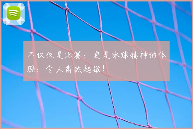 不仅仅是比赛,更是冰球精神的体现,令人肃然起敬!